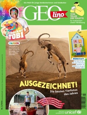 Cover Goelino 