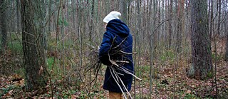 Eine Frau sammelt Zweige im Herbstwald