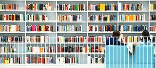 Die Literatur