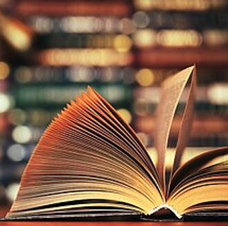 Goethe-Institut translation funding